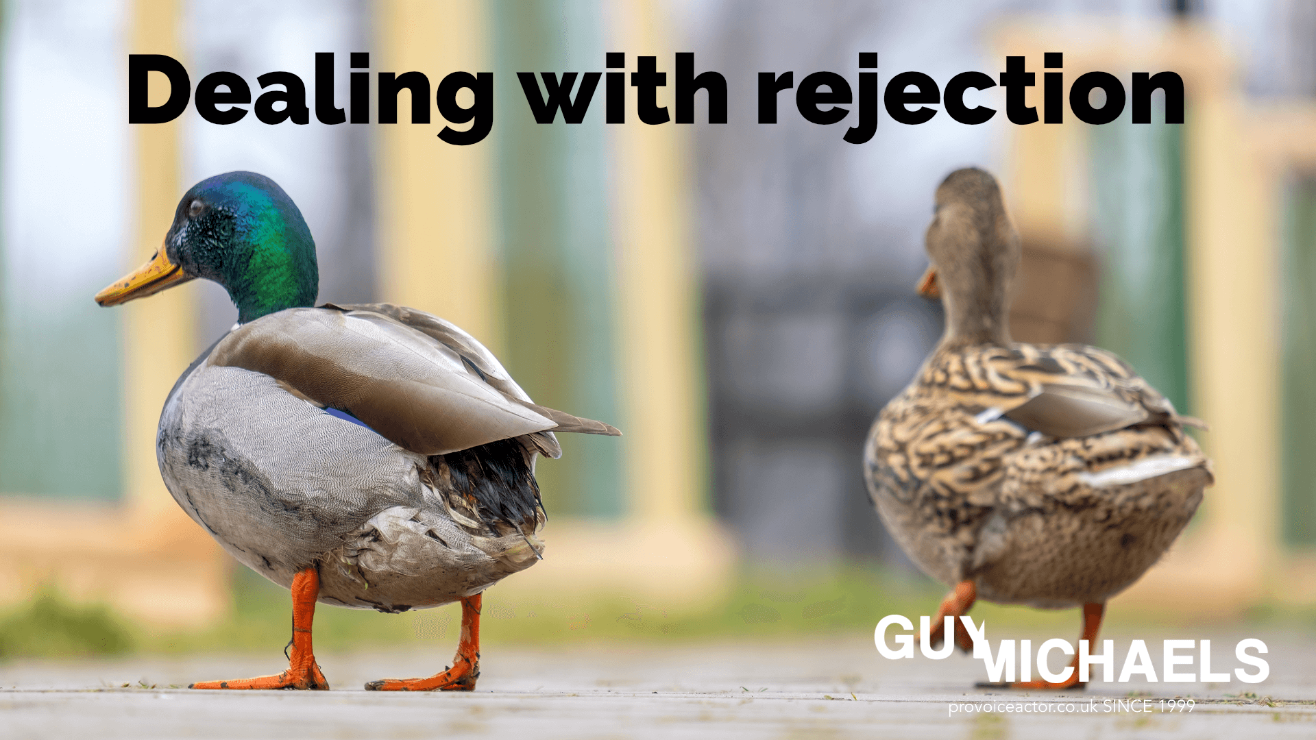 rejection in business